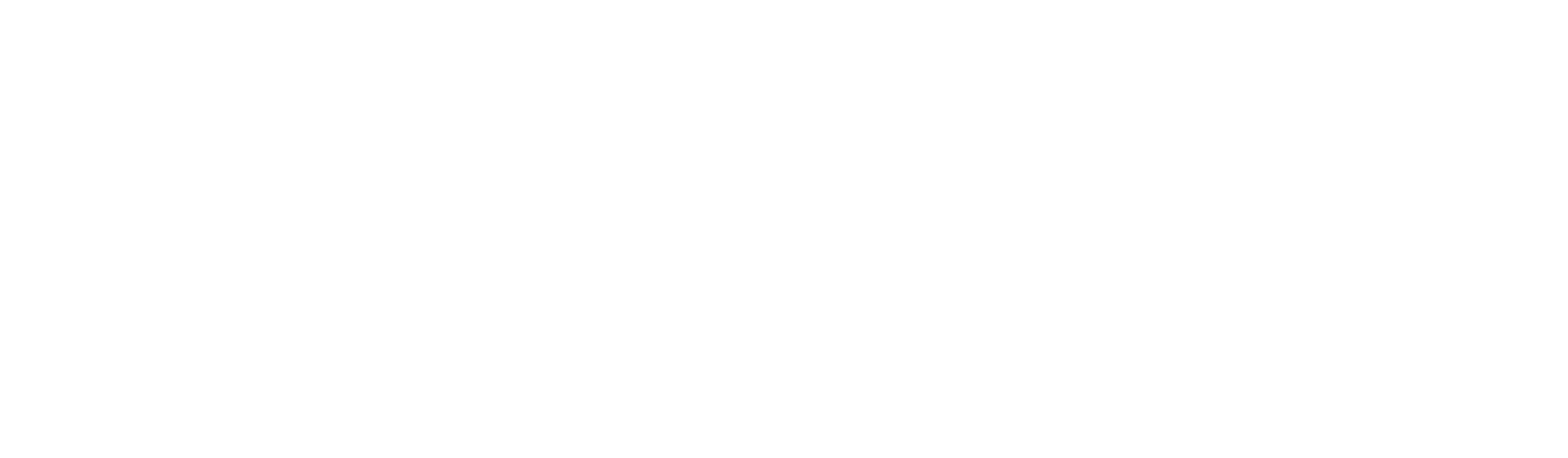 Logo_Cognibox_blanc