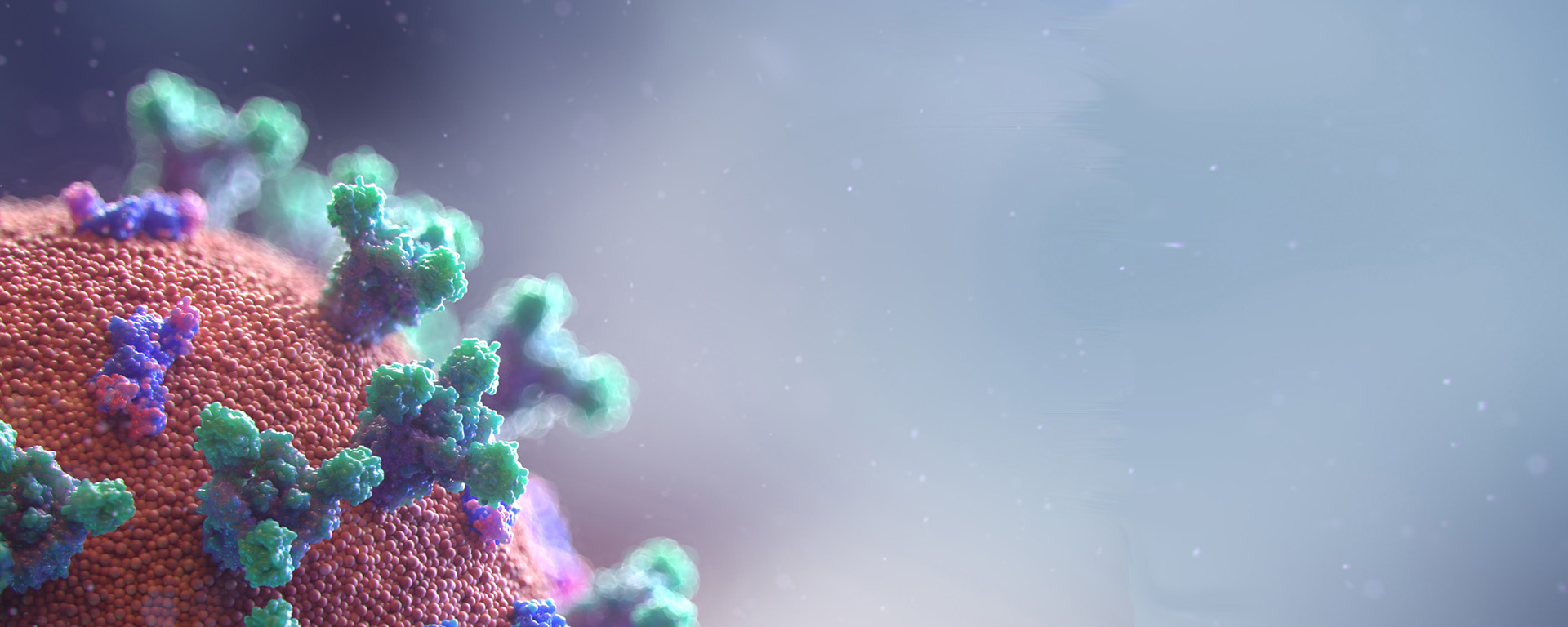 webinar-coronavirus-banner